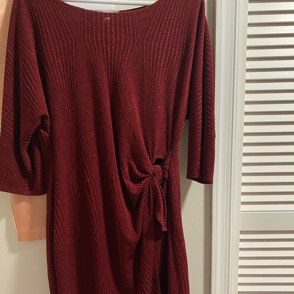 Elegant Burgundy Dress
